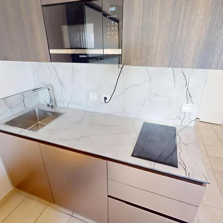 Renove Avec Balcon Et Garage En Plein Coeur De - Fr-1-196-375 * Menton